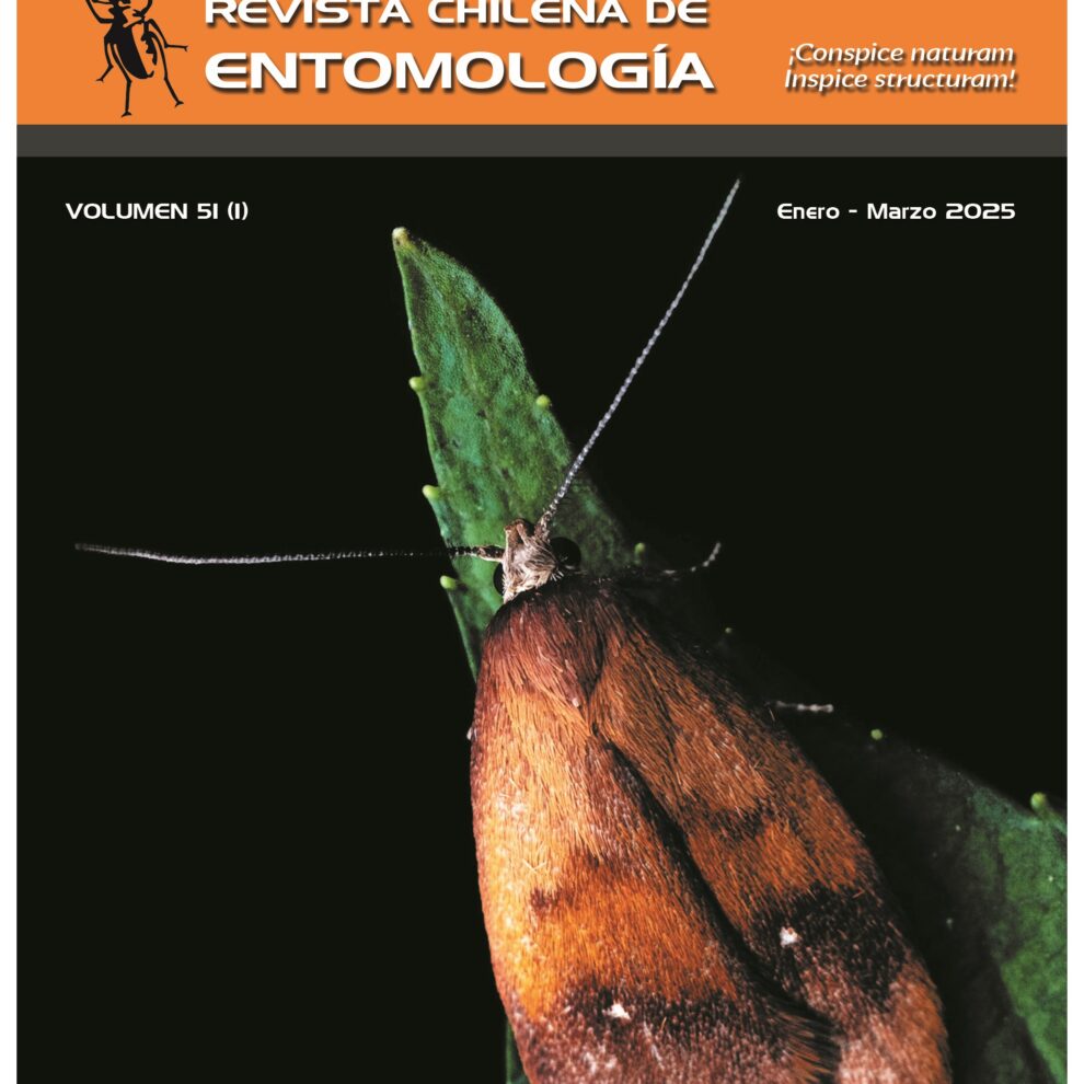 Portada 2025 vol 51(1)_v10