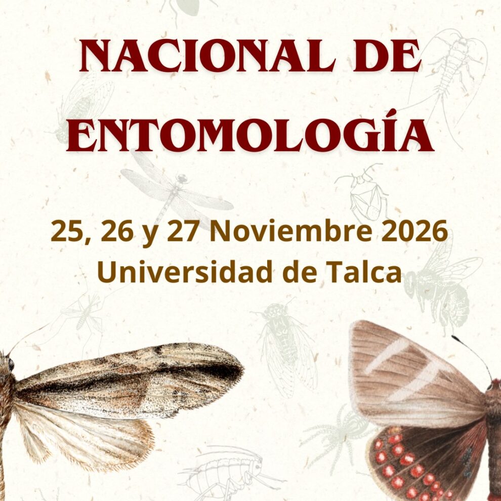 Nueva Publicación Instagram Story – 1